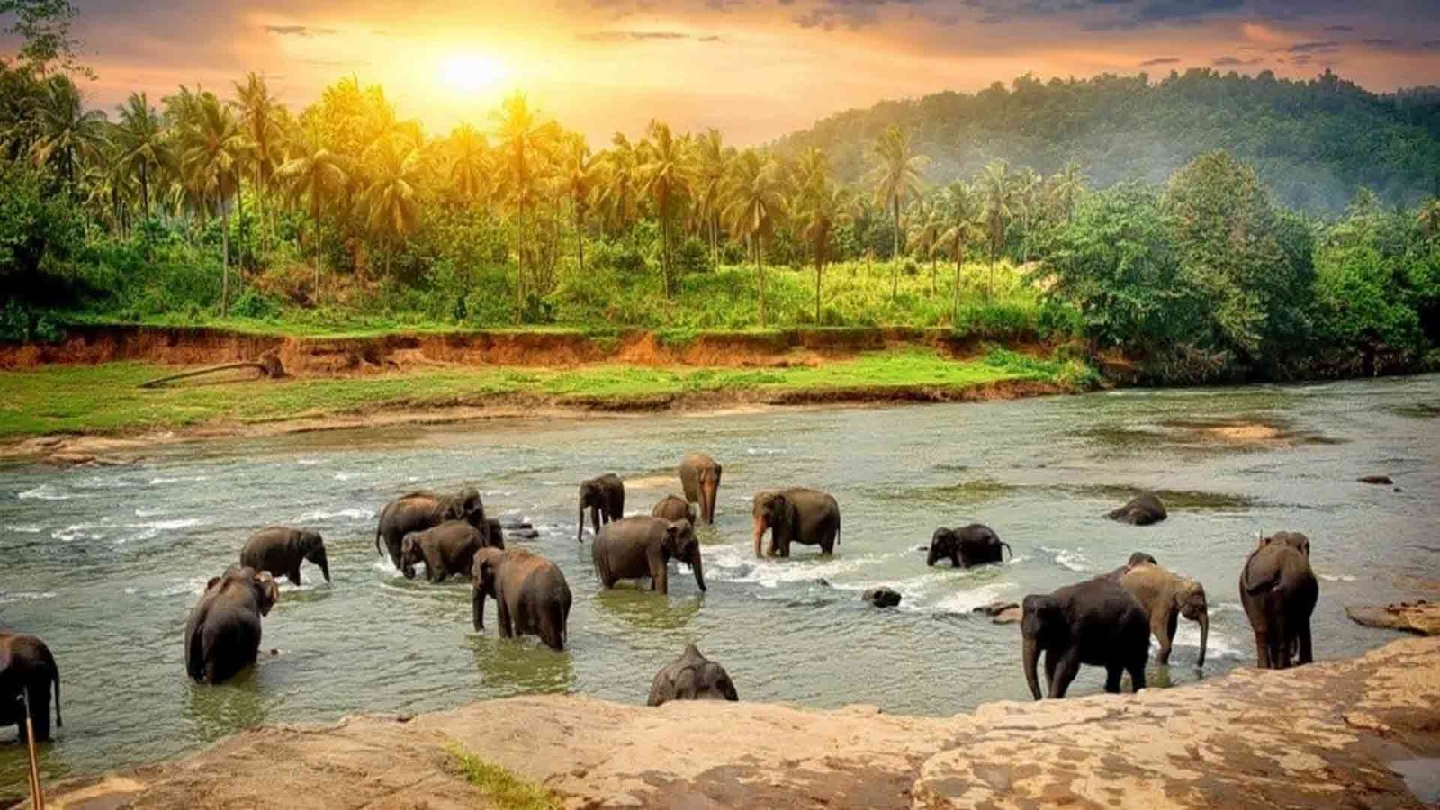 Thekkady Tour Packages | Thekkady Jeep Safari | Taxi Booking Thekkady | Hotel Booking Thekkady | Thekkady Wildlife Tours | Periyar Wildlife Sanctuary | Thekkady Eco Tours | Thekkady Adventure Tour | Thekkady Honeymoon Packages | Nature Walk Thekkady | Spice Plantation Tour Thekkady | Thekkady Houseboats | Thekkady Family Tour | Thekkady Group Tours | Thekkady Budget Tour Packages | Thekkady Luxury Hotels | Thekkady Resort Booking | Guided Tours Thekkady | Thekkady Trekking | Periyar Boat Ride | Bamboo Rafting Thekkady | Bird Watching Thekkady | Elephant Safari Thekkady | Thekkady Taxi Service | Thekkady Car Rentals | Thekkady Private Taxi | Thekkady Wildlife Photography | Thekkady Sightseeing Tours | Thekkady Cultural Tours | Thekkady Ayurveda Resorts | Thekkady Holiday Packages | Thekkady Eco Resorts | Thekkady Spa Resorts | Thekkady Hill Station Trips | Thekkady Adventure Activities | Thekkady Nature Resorts | Thekkady Resort Deals | Thekkady Hotel Deals | Thekkady Vacation Rentals | Thekkady Multi-day Tours | Thekkady Camping Tours | Thekkady Jeep Rentals | Thekkady Taxi Hire | Thekkady Munnar Packages | Thekkady Alleppey Packages | Thekkady Kochi Tours | Thekkady Group Safari | Thekkady Private Tours | Thekkady Travel Agency | Thekkady Luxury Accommodation | Thekkady Budget Accommodation | Thekkady Wildlife Experience | Thekkady Travel Guide | Periyar Sanctuary Entry | Thekkady Mountain Trek | Thekkady Elephant Care | Thekkady Birding Tours | Thekkady River Cruises | Thekkady Waterfalls | Thekkady Photography Tours | Thekkady Cultural Experiences | Thekkady Local Cuisine Tours | Thekkady Night Safari | Thekkady Monsoon Tours | Thekkady Offbeat Tours | Thekkady Hiking Trails | Thekkady Nature Trails | Thekkady Scenic Spots | Thekkady Picnic Spots | Thekkady Family Resorts | Thekkady Wedding Packages | Thekkady Group Discounts | Thekkady Transportation | Thekkady Travel Plans | Thekkady Eco Friendly Tours | Thekkady Resort Amenities | Thekkady Room Booking | Thekkady Online Booking | Thekkady Taxi Contact | Thekkady Jeep Tour Costs | Thekkady Travel Seasons | Thekkady Best Time To Visit | Thekkady Wildlife Facts | Thekkady Local Markets | Thekkady Trekking Routes | Thekkady Eco Conservation | Thekkady Forest Camping | Thekkady River Rafting | Thekkady Tour Operators | Thekkady Safari Booking | Thekkady Tourist Spots | Thekkady Tour Itineraries | Thekkady Travel Deals | Thekkady Budget Hotels | Thekkady Rental Cars | Thekkady Travel Reviews | Thekkady Travel Tips
